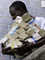 Colleague_thumb_avatar-octavius