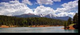 Forum_avatar_avatar-thebigduck
