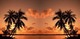 Forum_avatar_avatar-bienesraices