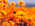 Latest_posts_thumb_avatar-apples
