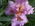 Latest_posts_thumb_avatar-casspra