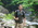 Latest_posts_thumb_avatar-bostonhome