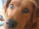 Forum_avatar_avatar-rjkeefer