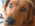 Latest_posts_thumb_avatar-rjkeefer