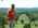 Latest_posts_thumb_avatar-steamer