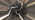 Latest_posts_thumb_avatar-pres10