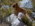Latest_posts_thumb_avatar-desertdog