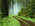 Latest_posts_thumb_avatar-mustaqeem