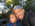 Latest_posts_thumb_avatar-randygc