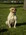 Latest_posts_thumb_avatar-richieg