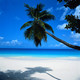 Forum_avatar_avatar-reoh2