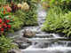 Forum_avatar_avatar-reinvestor1144