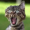 Colleague_thumb_avatar-jinksy