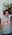 Latest_posts_thumb_avatar-lhs2009
