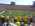 Latest_posts_thumb_avatar-maleek
