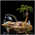 Latest_posts_thumb_avatar-reosinparadise
