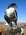 Latest_posts_thumb_avatar-foch