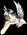Latest_posts_thumb_avatar-dreamweavers