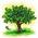 Latest_posts_thumb_avatar-trinityre