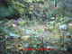 Forum_avatar_avatar-eastonmd