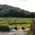 Latest_posts_thumb_avatar-nexus101