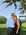 Latest_posts_thumb_avatar-jrs219