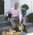 Latest_posts_thumb_avatar-rest203