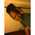 Latest_posts_thumb_avatar-cykelly25