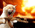 Latest_posts_thumb_avatar-anoppe