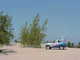 Forum_avatar_avatar-going_big