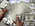 Latest_posts_thumb_avatar-ibuyocalahouses