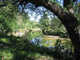Forum_avatar_avatar-thedisciple