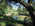 Latest_posts_thumb_avatar-thedisciple