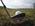 Latest_posts_thumb_avatar-harbor17