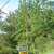Comment_thumb_avatar-blessingdaniel