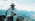 Latest_posts_thumb_avatar-jeffspikoli