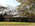 Latest_posts_thumb_avatar-larrydavis46