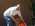 Latest_posts_thumb_avatar-cptnkirk