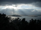 Forum_avatar_avatar-financexaminer