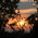 Latest_posts_thumb_avatar-hhglady