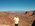 Latest_posts_thumb_avatar-swmo