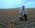 Latest_posts_thumb_avatar-nik
