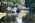 Latest_posts_thumb_avatar-bargeamerica