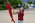 Latest_posts_thumb_avatar-assethounds