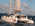 Latest_posts_thumb_avatar-sailormanjc