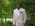 Latest_posts_thumb_avatar-mrc100