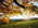 Latest_posts_thumb_avatar-pmarsele