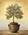 Latest_posts_thumb_avatar-saraj