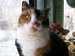 Colleague_thumb_avatar-jaycemeadows