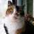 Comment_thumb_avatar-jaycemeadows